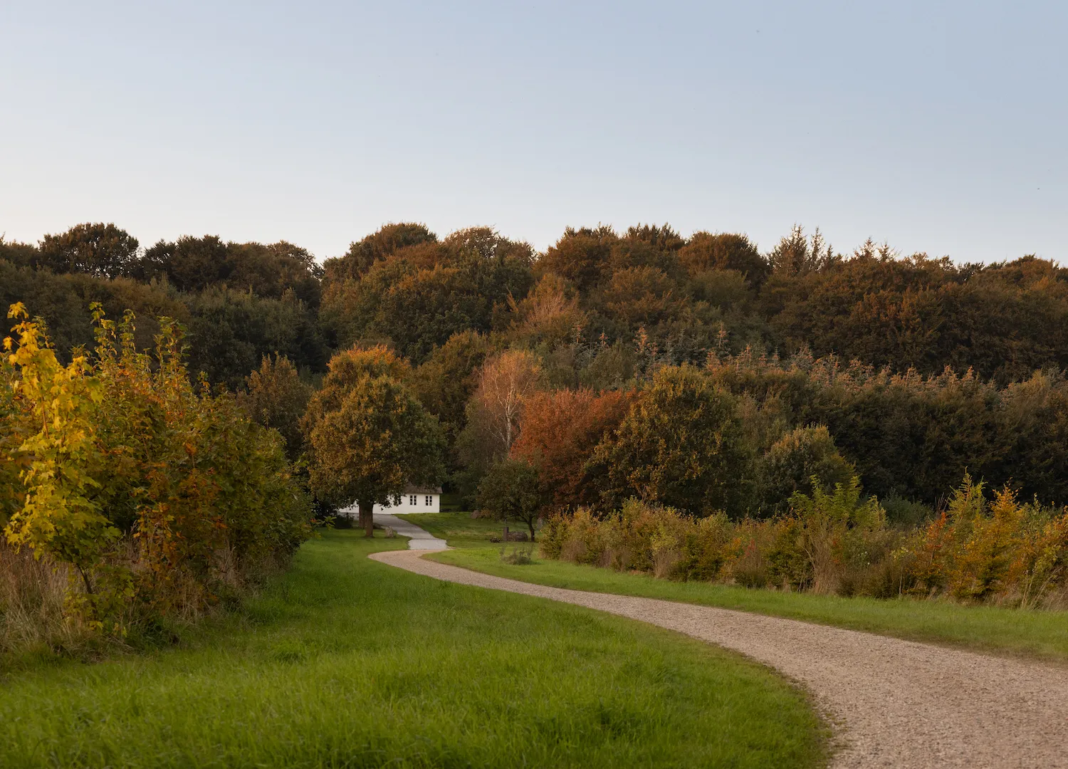 Dinesen Country Home Un Ritiro Elegante nella Natura Danese 13